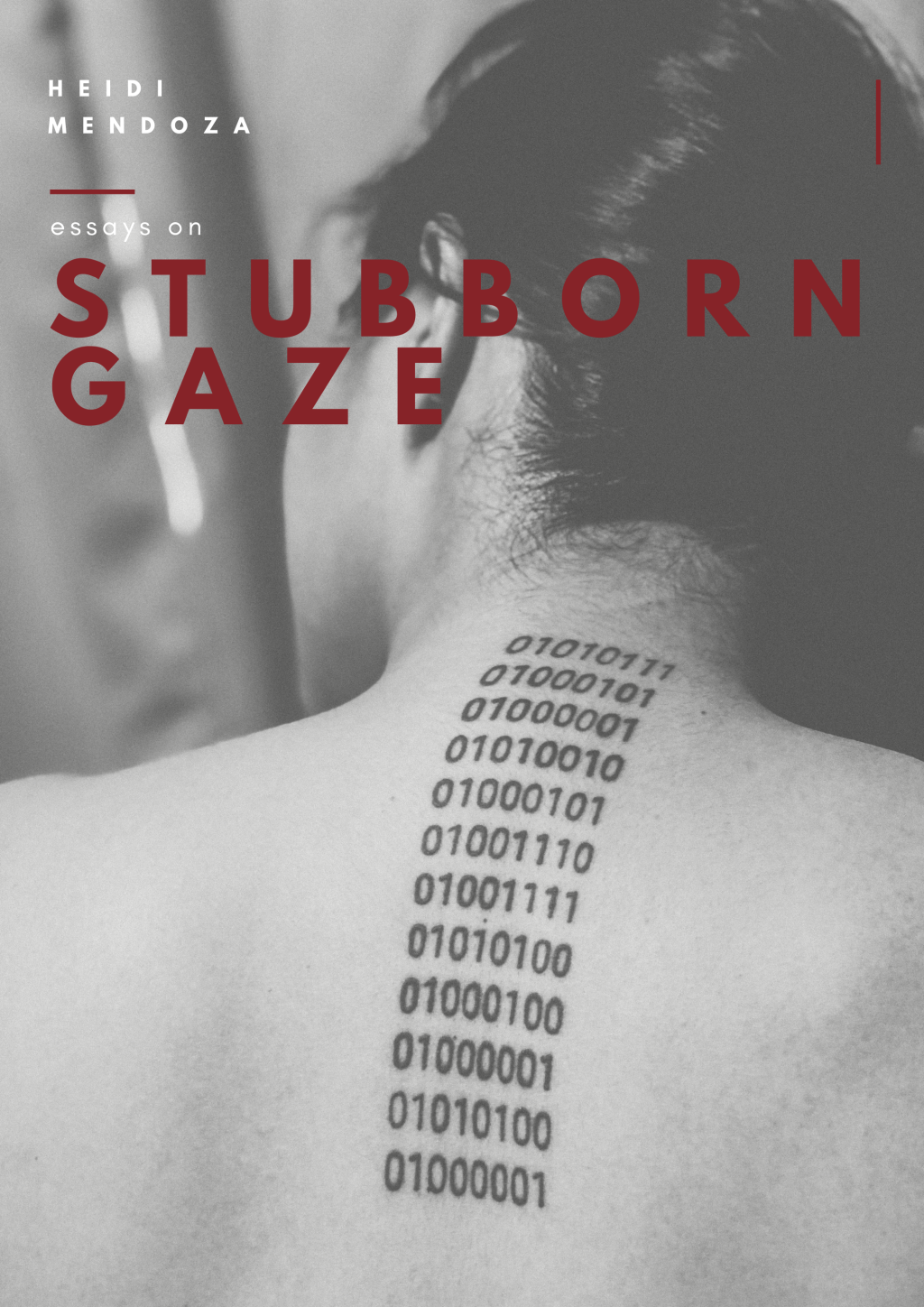essays on stubborn gaze